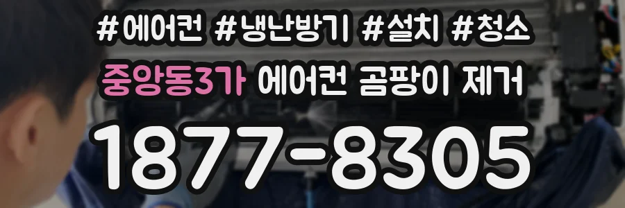 중앙동3가 에어컨 곰팡이 제거