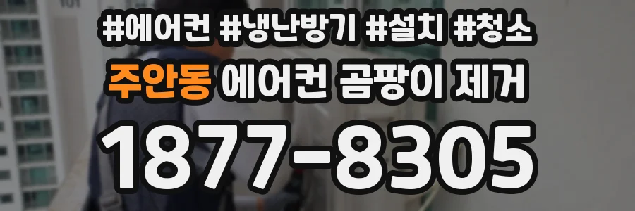 주안동 에어컨 곰팡이 제거