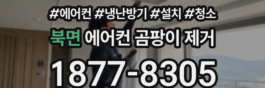 북면 에어컨 곰팡이 제거