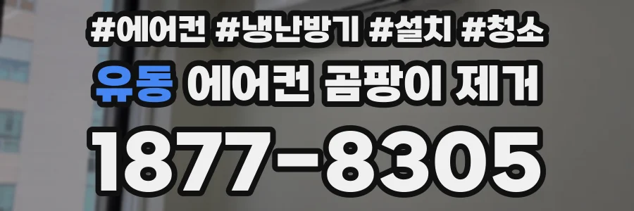 유동 에어컨 곰팡이 제거
