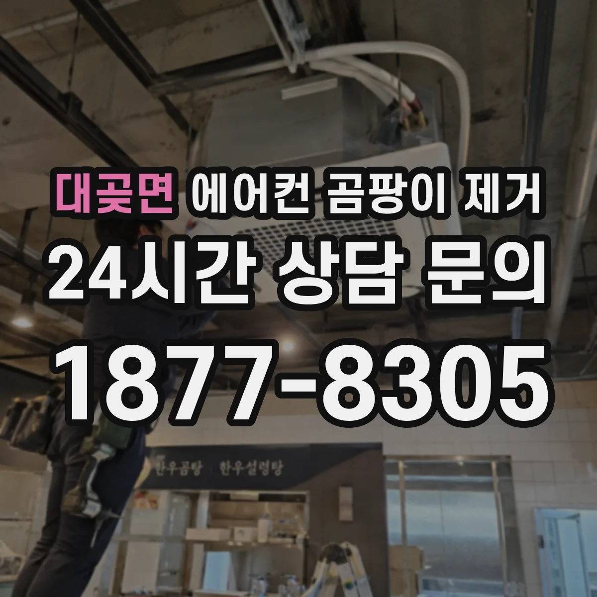 대곶면 에어컨 곰팡이 제거