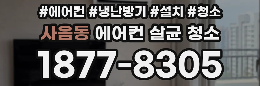 사음동 에어컨 살균 청소