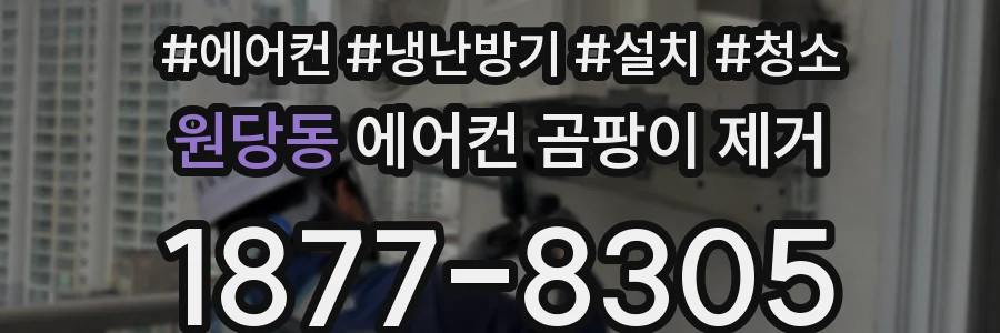 원당동 에어컨 곰팡이 제거