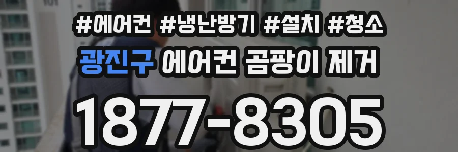 광진구 에어컨 곰팡이 제거