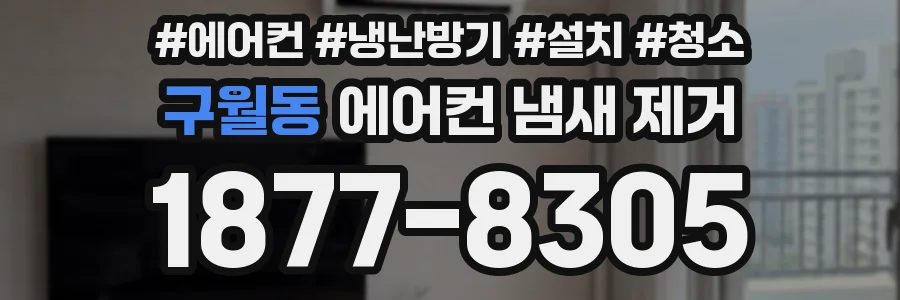 구월동 에어컨 냄새 제거