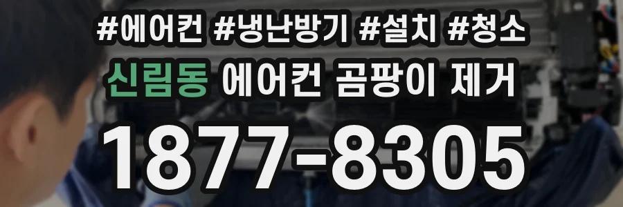 신림동 에어컨 곰팡이 제거