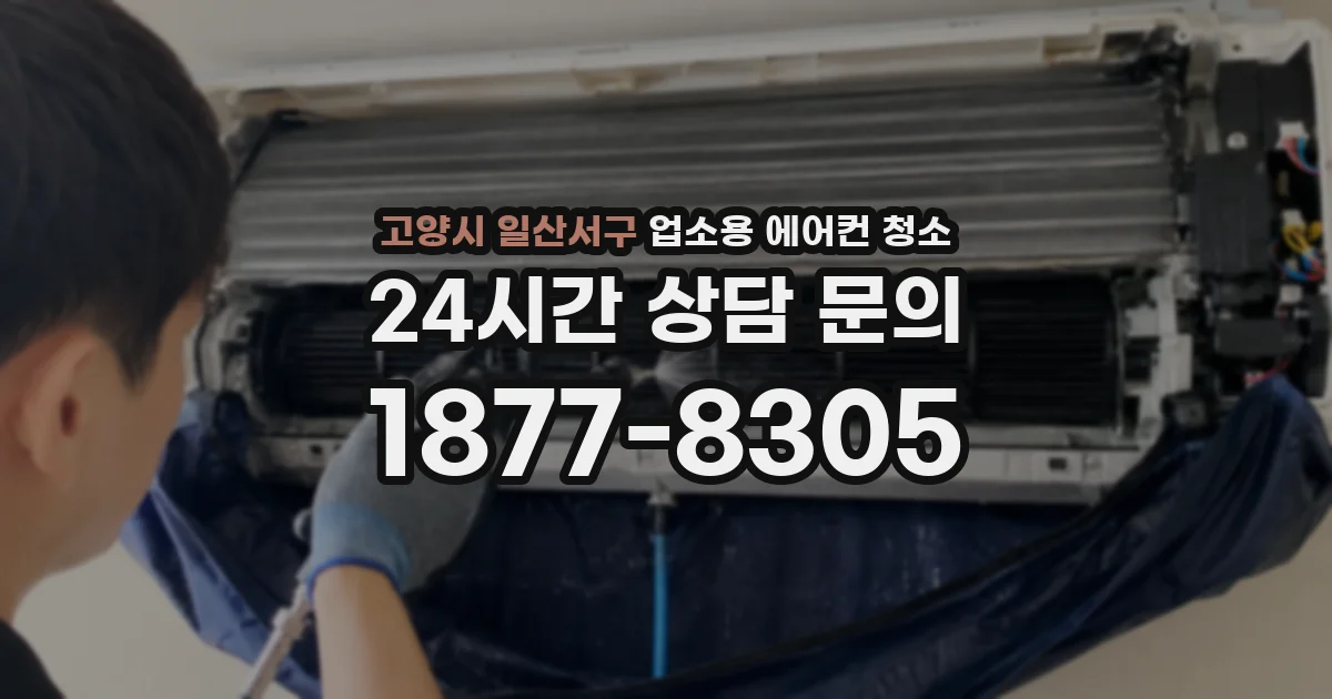 고양시 일산서구 업소용 에어컨 청소