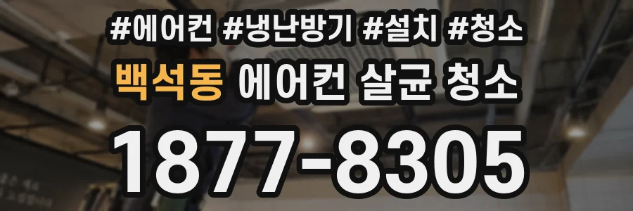 백석동 에어컨 살균 청소