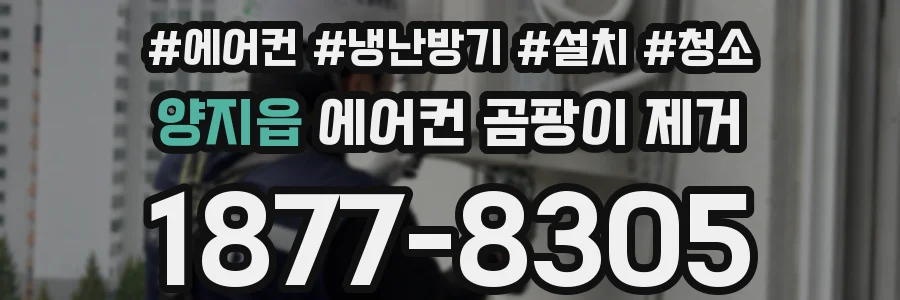 양지읍 에어컨 곰팡이 제거