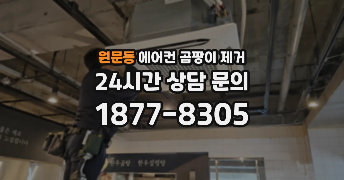 원문동 에어컨 곰팡이 제거