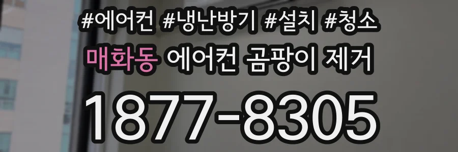 매화동 에어컨 곰팡이 제거