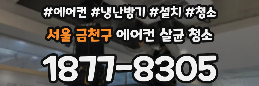 서울 금천구 에어컨 살균 청소