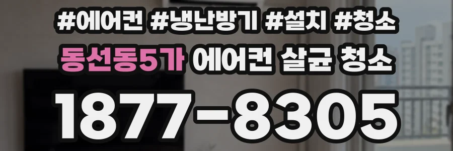 동선동5가 에어컨 살균 청소