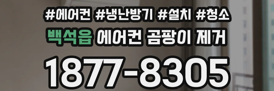 백석읍 에어컨 곰팡이 제거