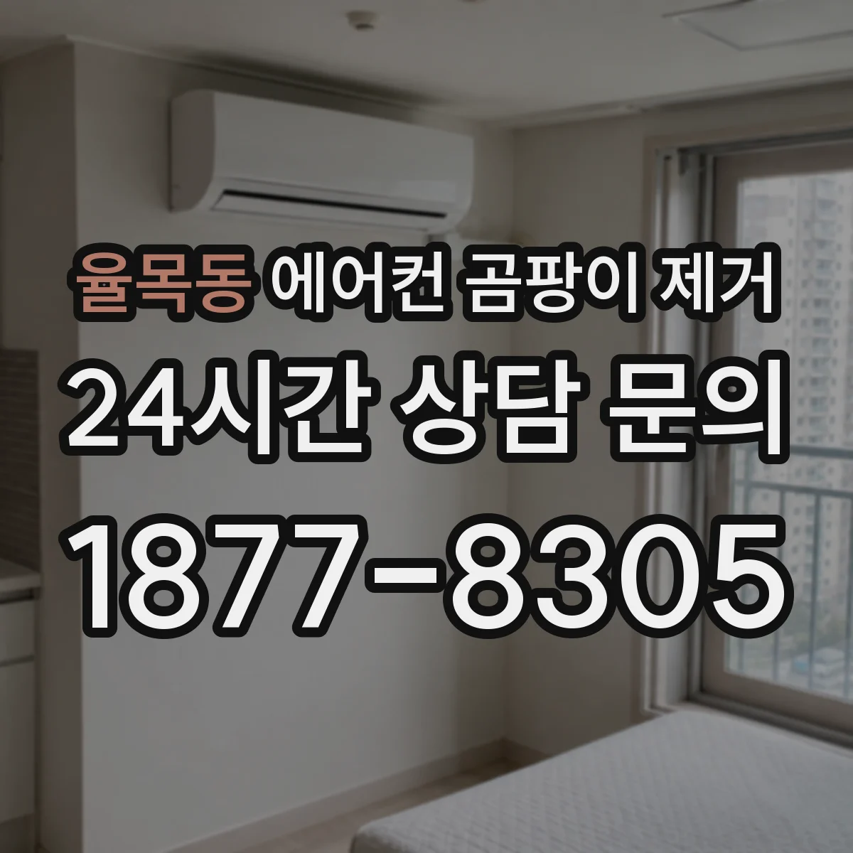 율목동 에어컨 곰팡이 제거