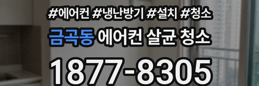 금곡동 에어컨 살균 청소
