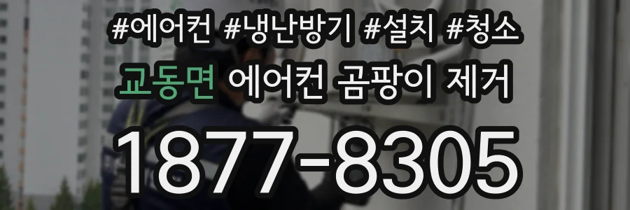 교동면 에어컨 곰팡이 제거