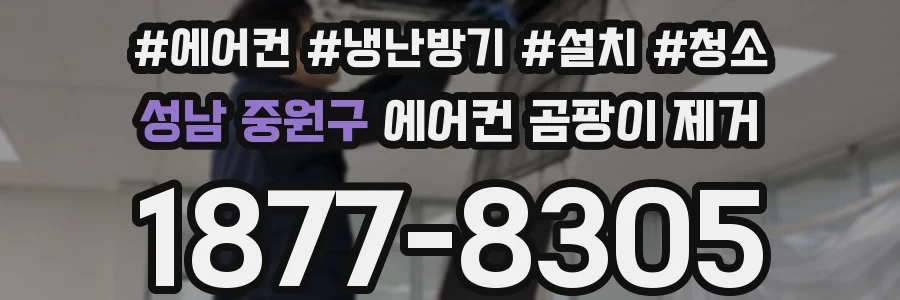 성남 중원구 에어컨 곰팡이 제거