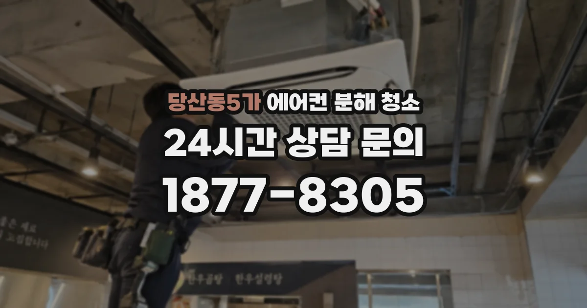 당산동5가 에어컨 분해 청소
