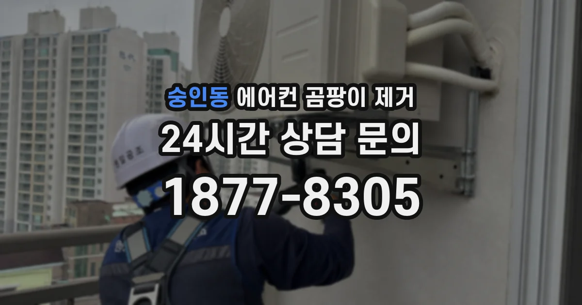 숭인동 에어컨 곰팡이 제거