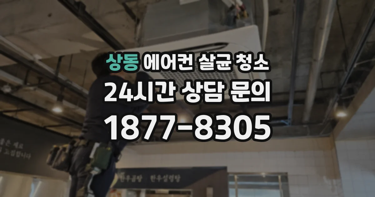 상동 에어컨 살균 청소