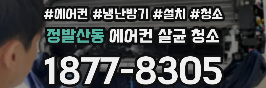 정발산동 에어컨 살균 청소