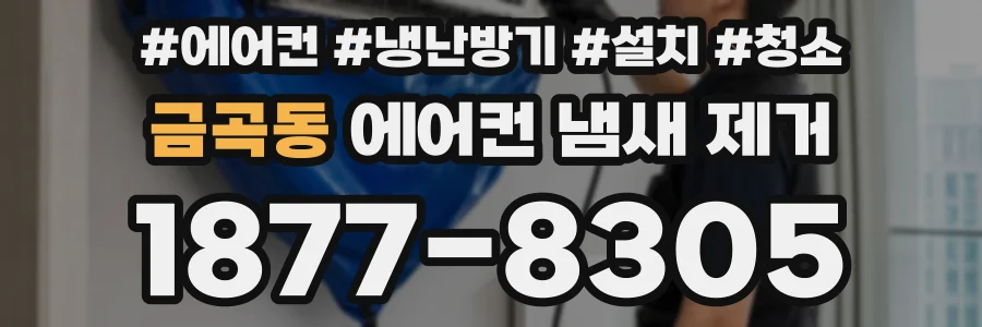 금곡동 에어컨 냄새 제거