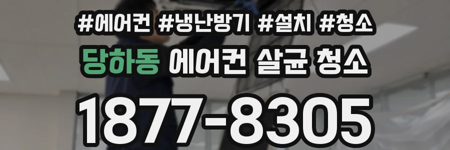 당하동 에어컨 살균 청소