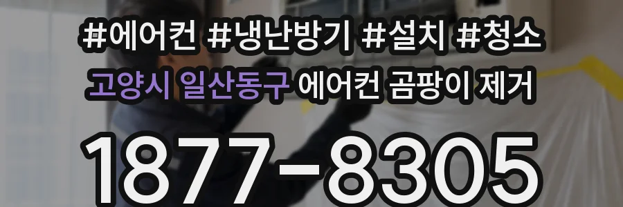 고양시 일산동구 에어컨 곰팡이 제거