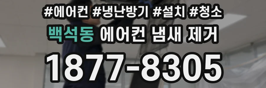 백석동 에어컨 냄새 제거