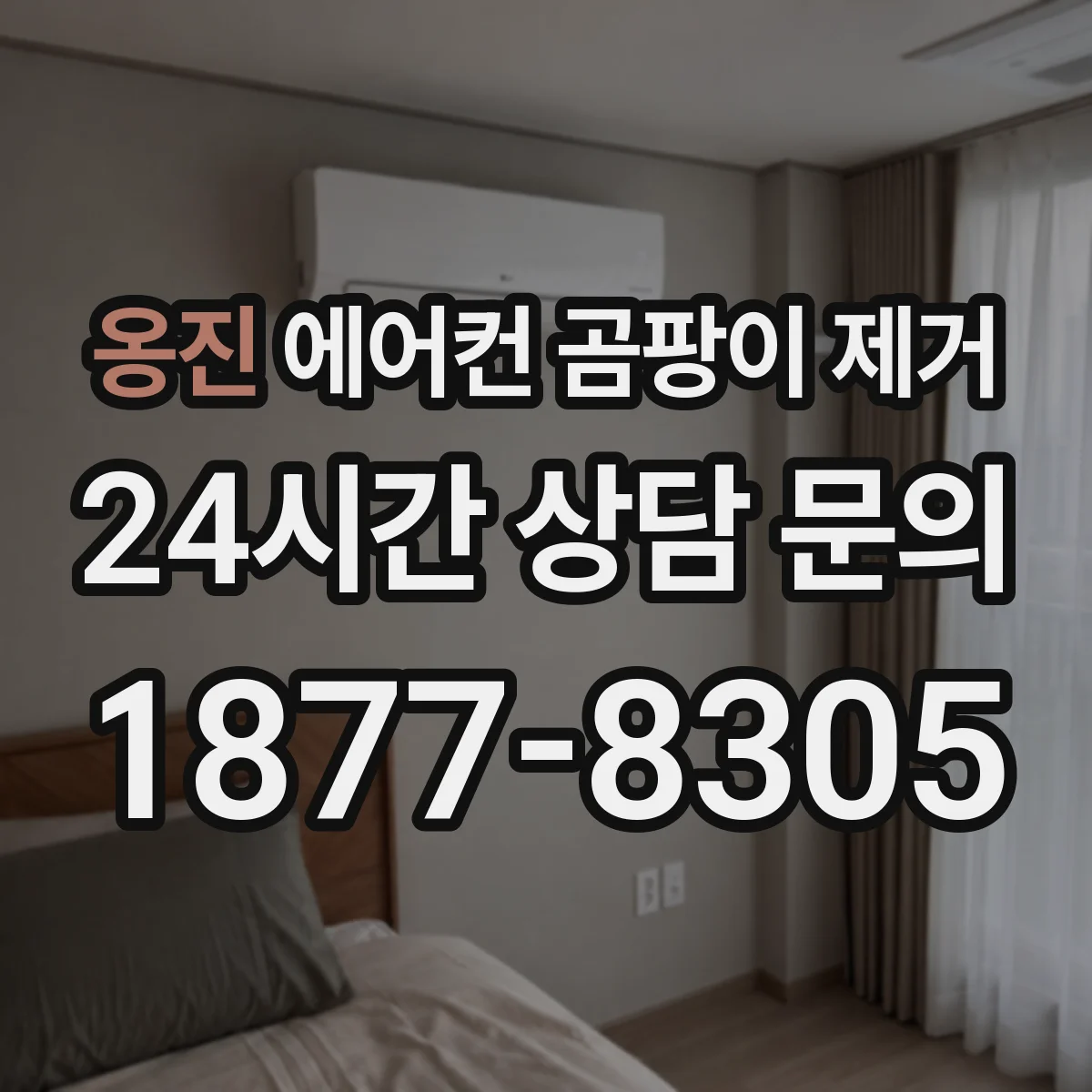 옹진 에어컨 곰팡이 제거