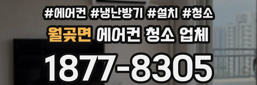 월곶면 에어컨 청소 업체