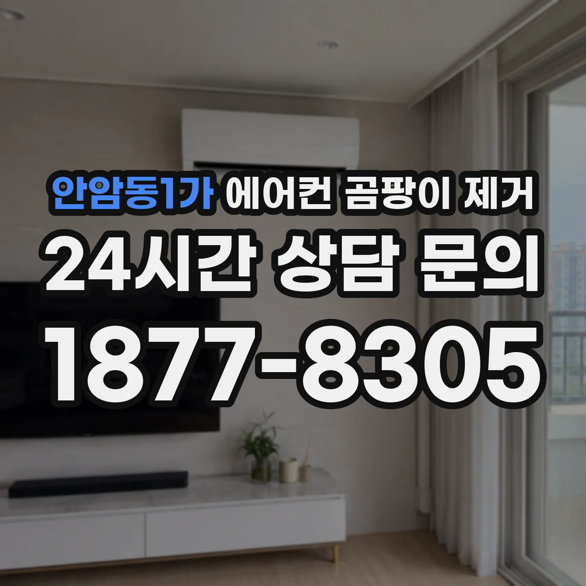 안암동1가 에어컨 곰팡이 제거
