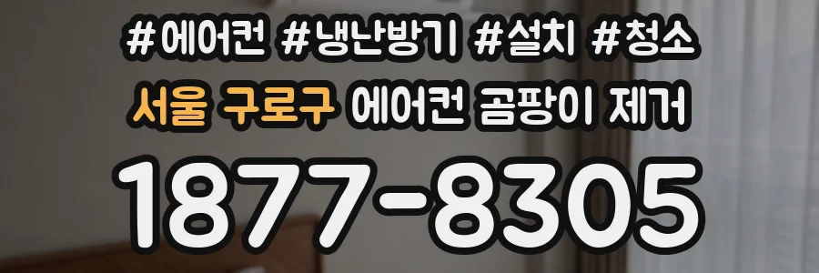 서울 구로구 에어컨 곰팡이 제거