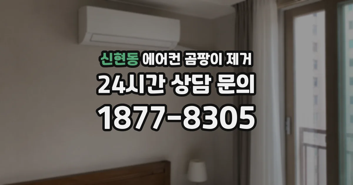 신현동 에어컨 곰팡이 제거