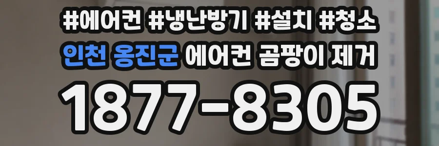 인천 옹진군 에어컨 곰팡이 제거