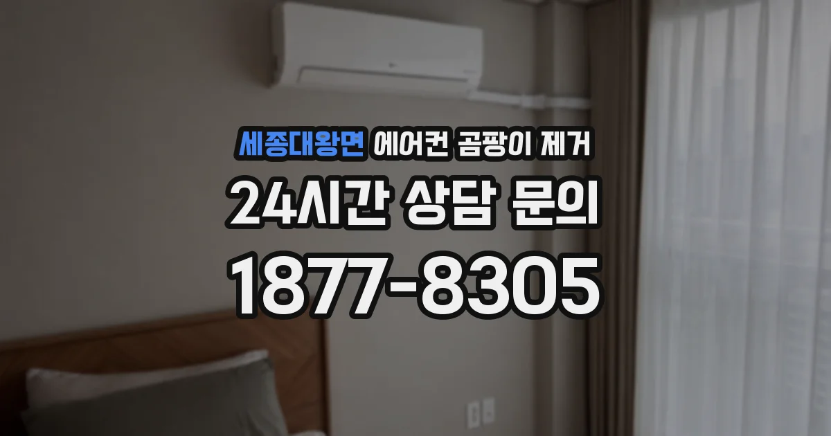 세종대왕면 에어컨 곰팡이 제거