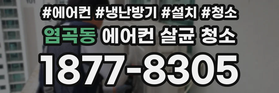 염곡동 에어컨 살균 청소
