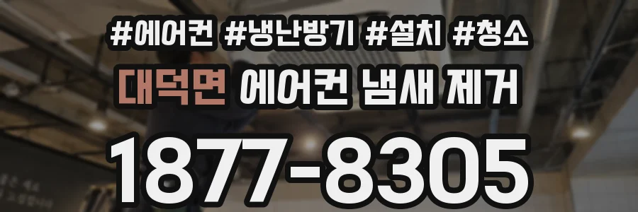 대덕면 에어컨 냄새 제거
