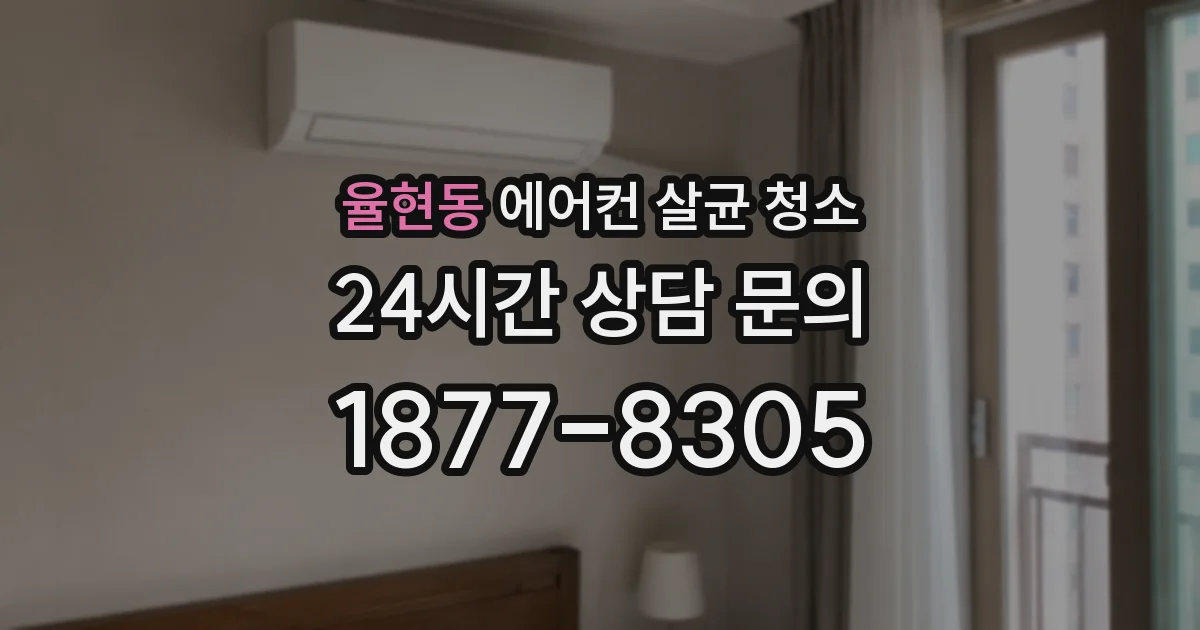 율현동 에어컨 살균 청소
