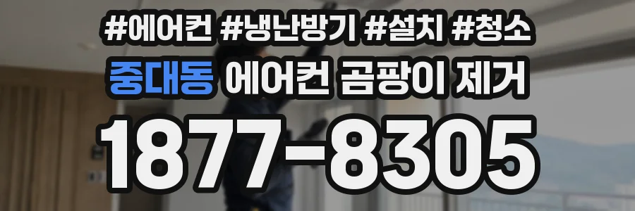 중대동 에어컨 곰팡이 제거