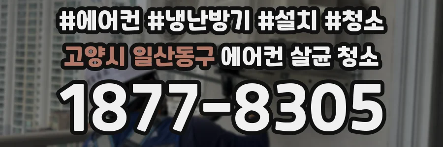 고양시 일산동구 에어컨 살균 청소