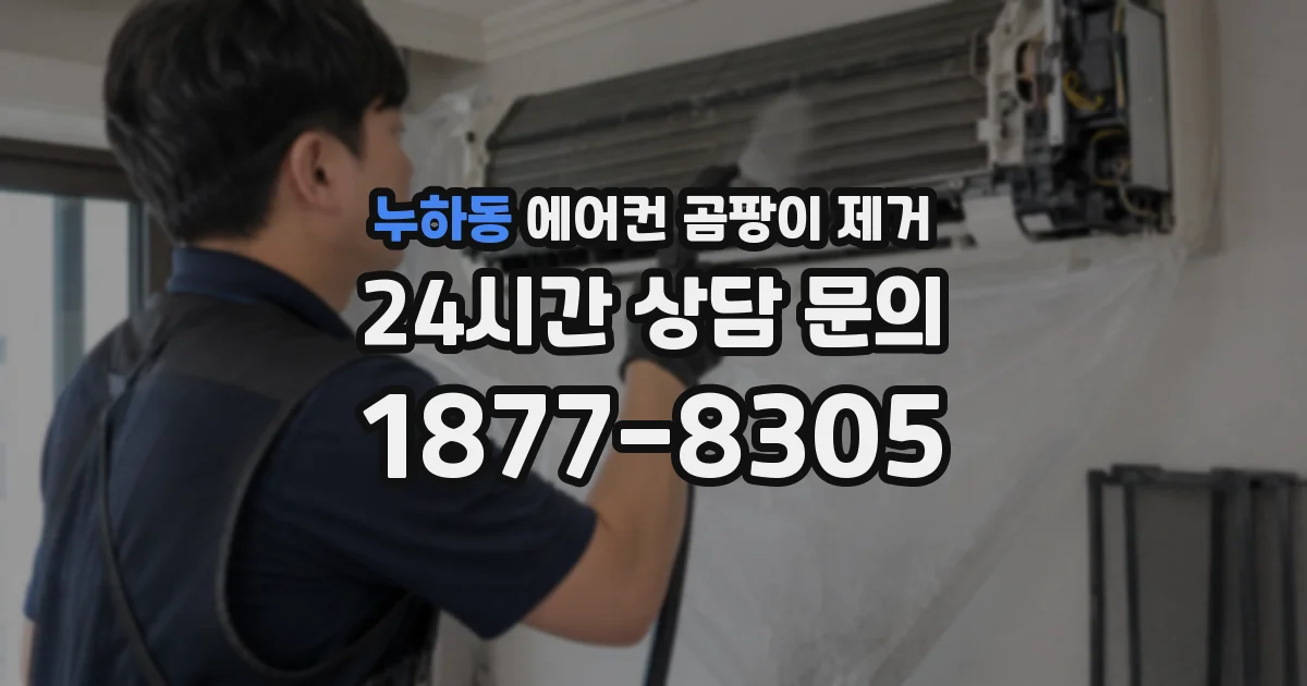 누하동 에어컨 곰팡이 제거