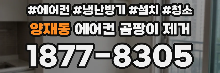 양재동 에어컨 곰팡이 제거