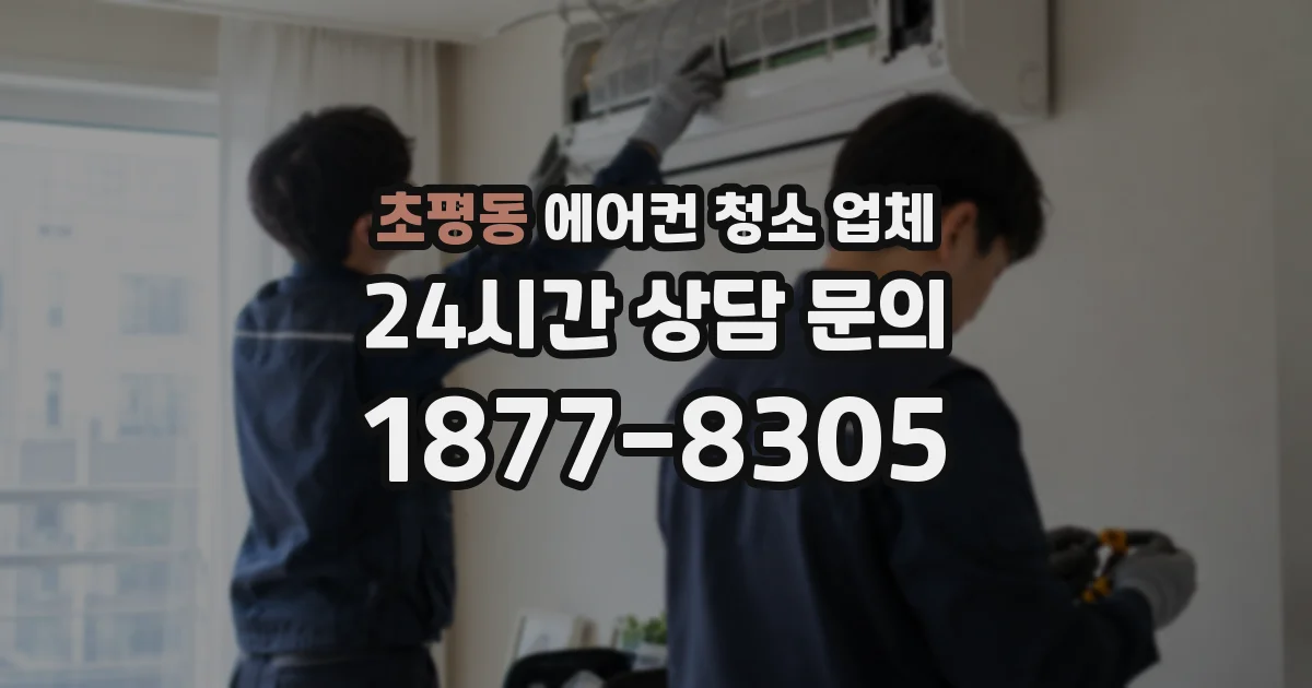 초평동 에어컨 청소 업체