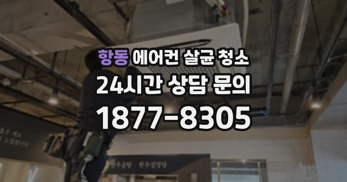 항동 에어컨 살균 청소
