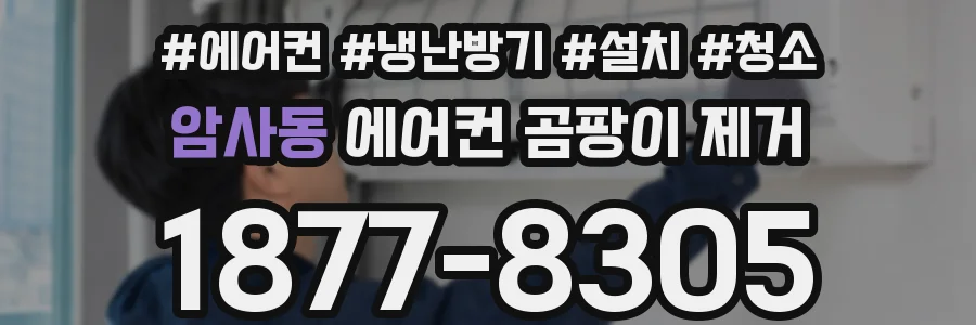 암사동 에어컨 곰팡이 제거