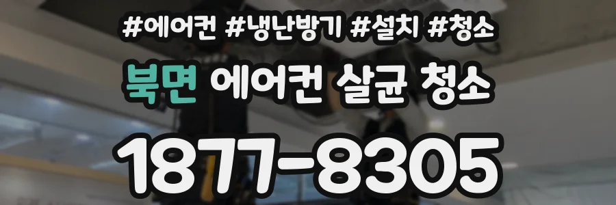 북면 에어컨 살균 청소