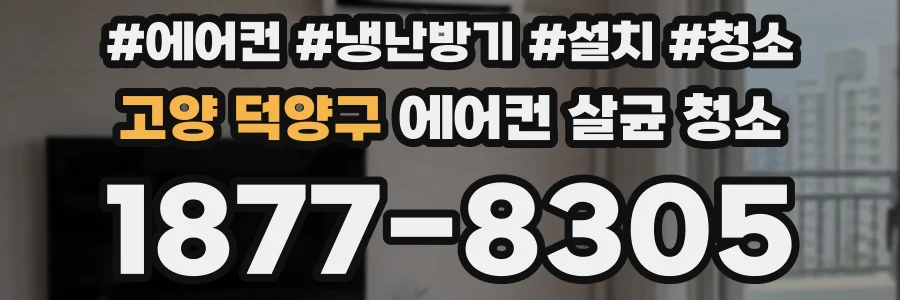 고양 덕양구 에어컨 살균 청소
