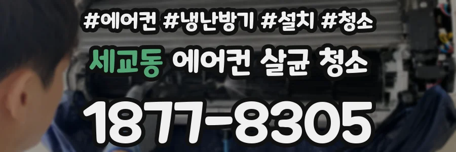 세교동 에어컨 살균 청소